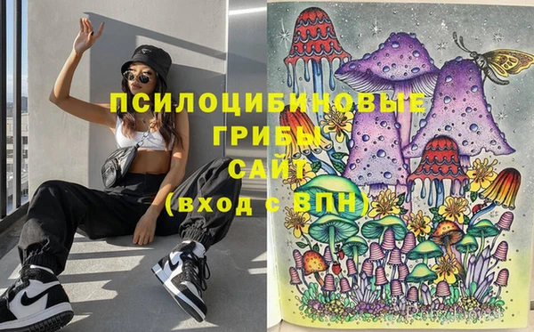 таблы Коряжма